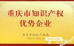 重庆市知识产权优势企业
